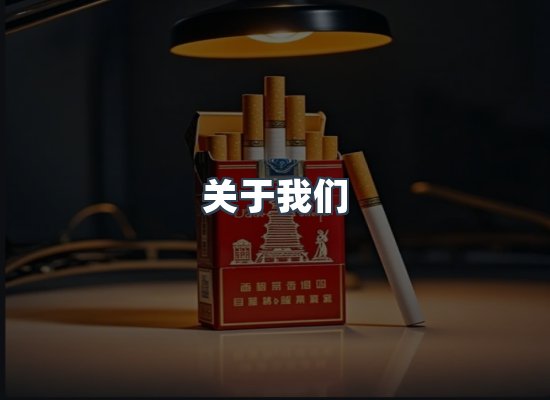 关于我们